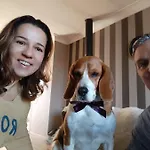 Les Bessonnes